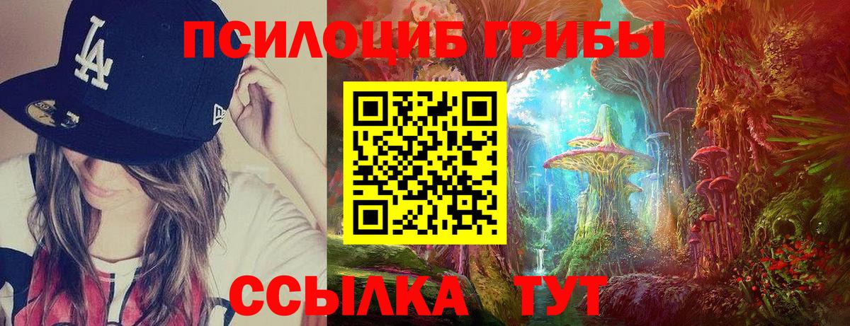 Сатка  Галлюциногенные грибы Cubensis  Вход с VPN 